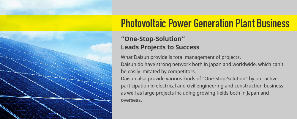 Photovoltaic Power Generation Plant Business
